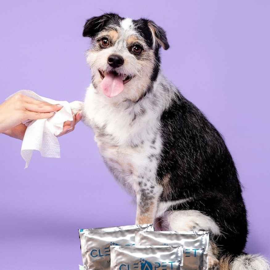 Göz, Kulak, Ağız, Diş, Pati ve Tüm Vücut İçin Nano Steril Hijyen Mendil 30'lu-Kedi-Köpek