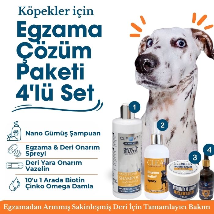 Köpek Egzama ve Yara Bakım Çözüm Paketi - Tüy Dökülmesi Karşıtı 4'lü Set