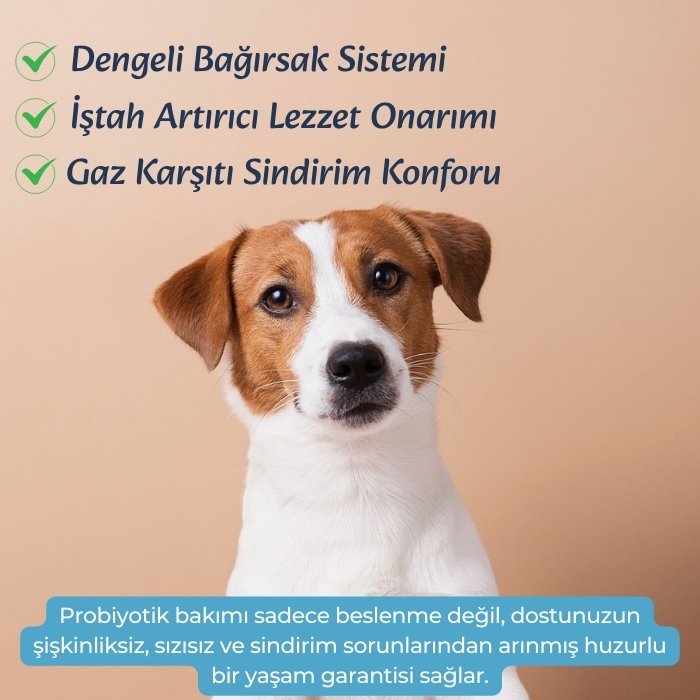 İştah Artırıcı-Sindirim Düzenleyici Probiyotik Damla 100ml - Kedi Köpek