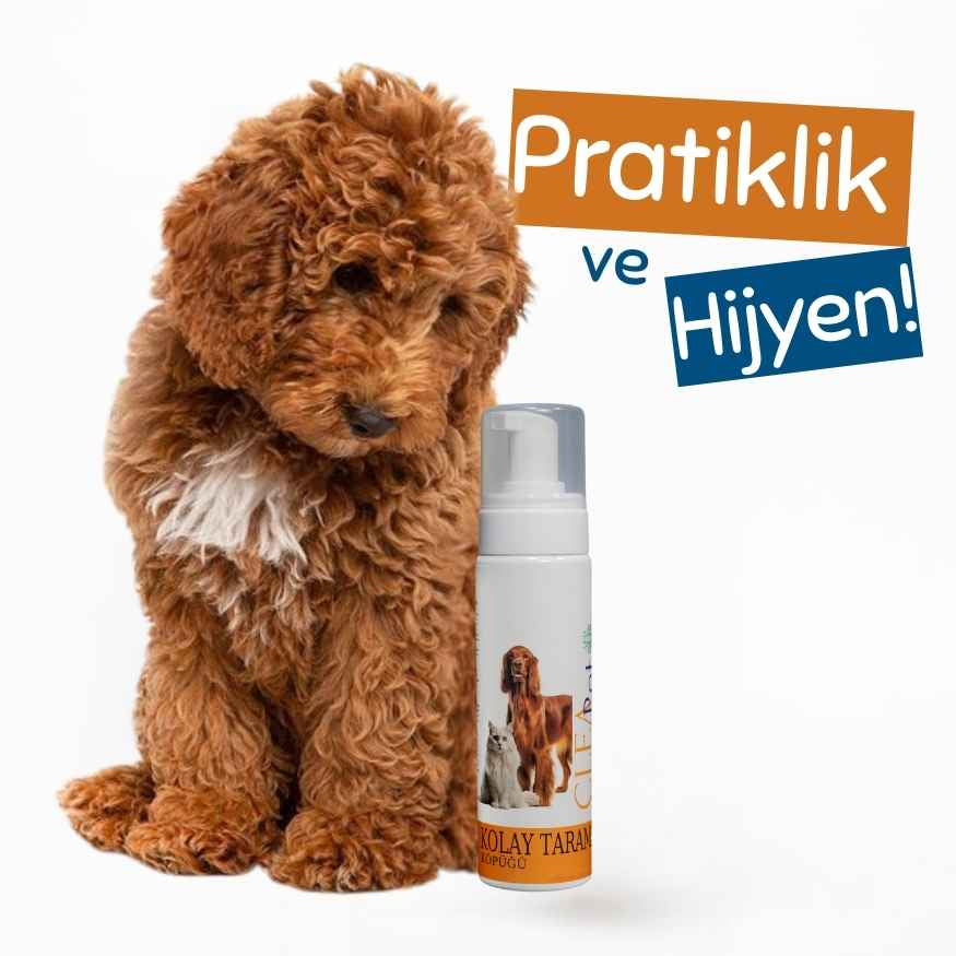 Kıtık ve Düğüm Önleyici, Kolay Tarama Etkili Onarıcı Kuru Köpük Şampuan – 200 ml