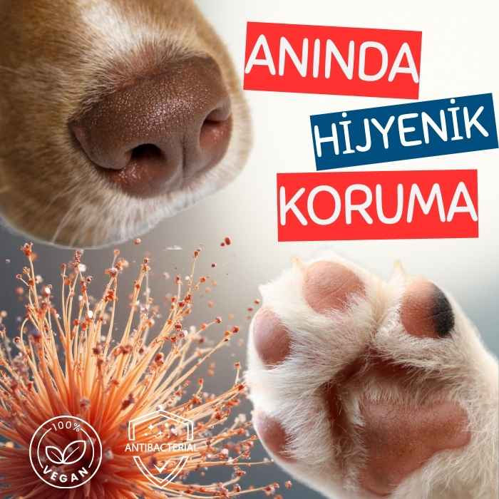 Antibakteriyel Pati Burun Bakım Stick Acil Onarım - Kedi ve Köpek-10ml