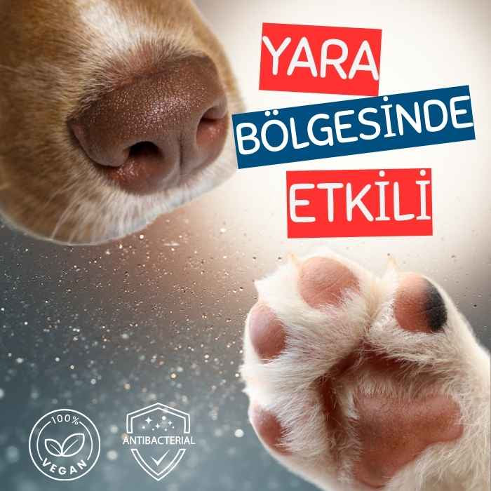 Yara Onarıcı ve Enfeksiyon Önleyici -Pratik Kullanım Stick 10ml - Kedi ve Köpek