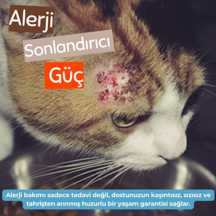 Alerjik Reaksiyon Karşıtı Sprey 250ml - Kedi Köpek