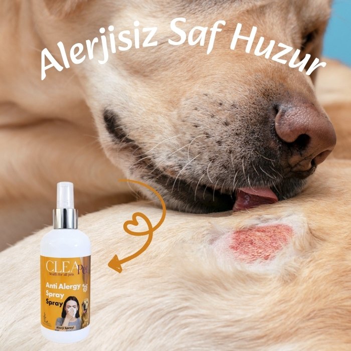 Alerjik Reaksiyon Karşıtı Sprey 250ml - Kedi Köpek