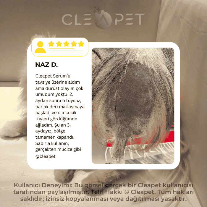 Alopesi X Tüy Kökü Uyarıcı-Yoğun Hücre Aktivasyon Serumu 100ml-Köpek