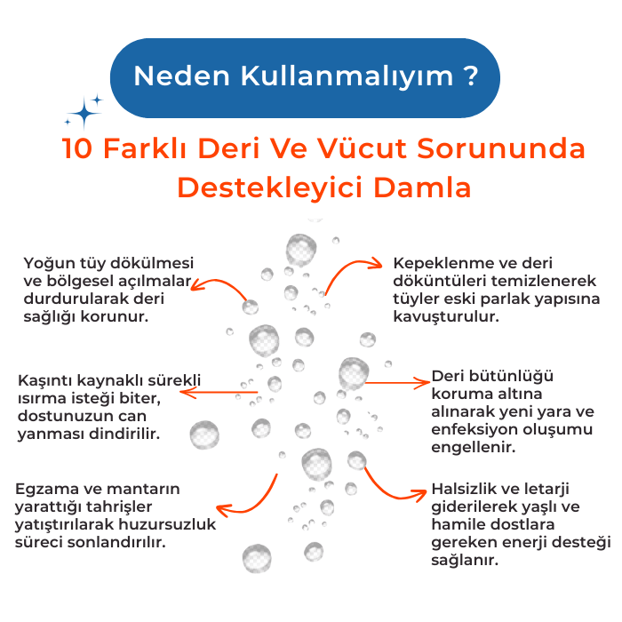 10'u 1 Arada Biotin Çinko Omega Damla 100ml - Tüy Dökülmesi Karşıtı-Kedi Köpek