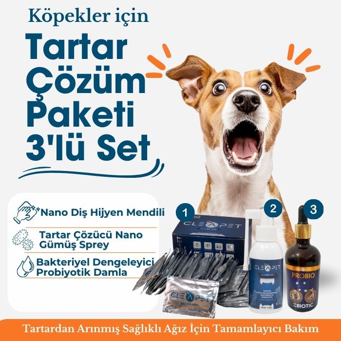 Köpek Diş Taşı ve Tartar Giderici 3'lü Set - Ağız Sağlığı Çözüm Paketi