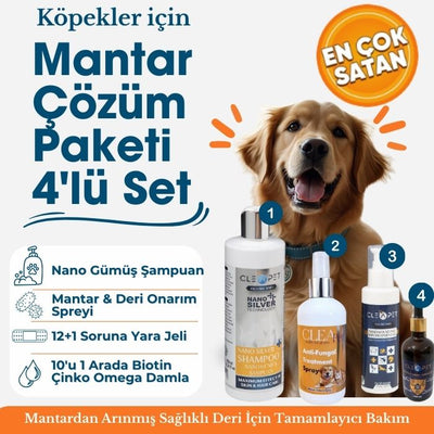 Köpek Mantar ve Deri Onarım 4'lü Çözüm Paketi - Kaşıntı Giderici ve Doku Yapılandırıcı Kit