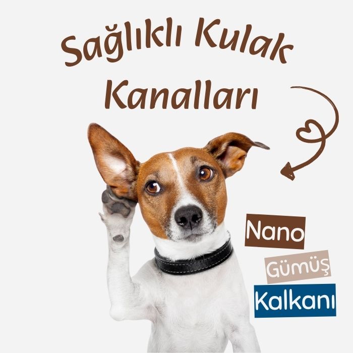 Kulak Bakım Sprey- Bakteri ve Kötü Koku Giderici 250ml - Uyuz Karşıtı - Kedi Köpek