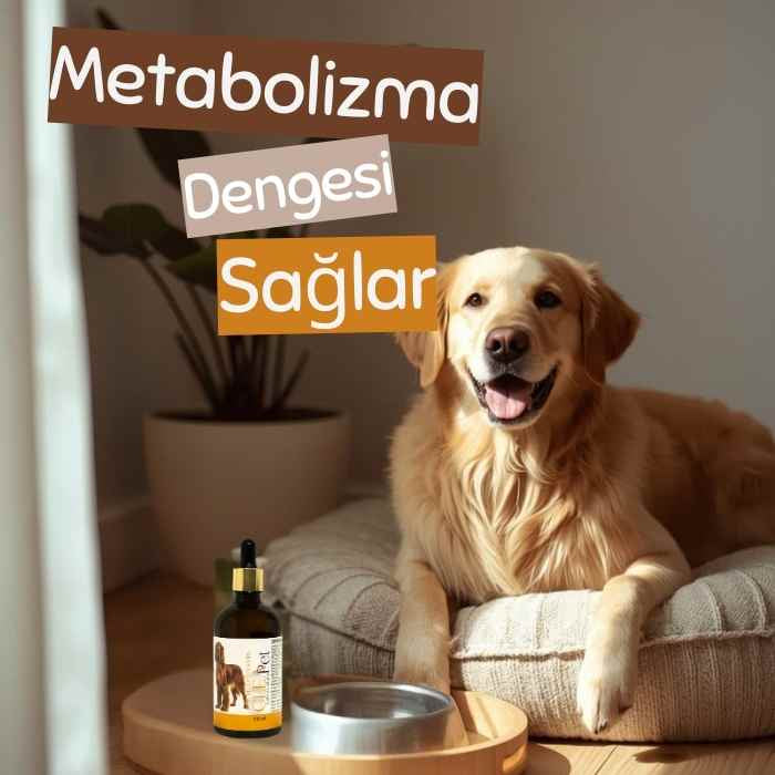 Köpek Multivitamin Destek Damla - Canlandırıcı - Tüy ve Deri Bakım 100ml