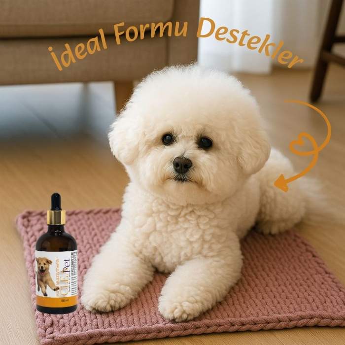 Yavru Köpek Multivitamin - Kemik ve Kas Gelişim Destek Damla 100ml