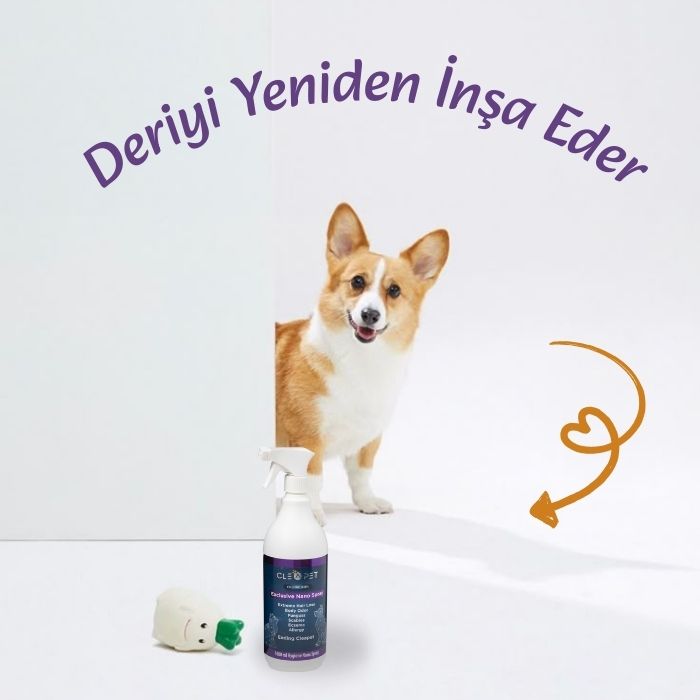 Yara Mantar Egzama Karşıtı-Nano Deri Bakım Spreyi 1 LT-Kedi Köpek