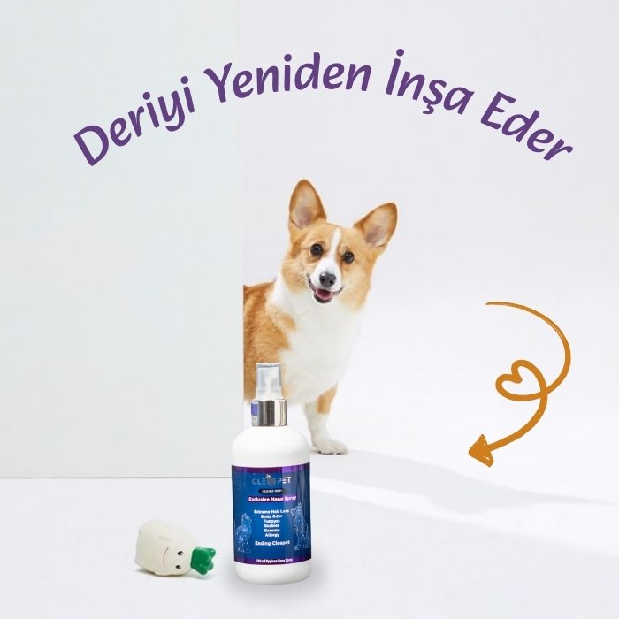 Mantar-Yara-Egzama Karşıtı-Nano Gümüş Bakım Spreyi 150 ml-Kedi Köpek