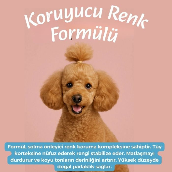 Bölgesel Irk Köpek Şampuanı 250 ml | Kaniş Bukle Belirleyici &amp; Renk Koruyucu