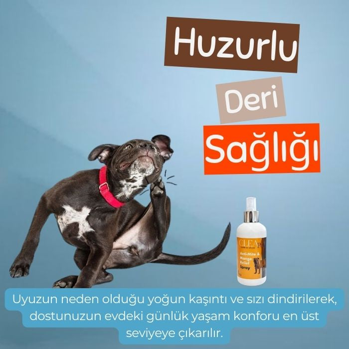 Uyuz ve Dış Parazit Karşıtı Sprey 250ml - Koku Giderici - Kedi Köpek