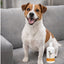 Kısa Tüy Dökülme Önleyici Nano Köpek Şampuanı – 250 ml