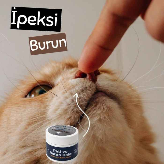 Pati ve Burun Çatlak, Kuruluk ve Tahrişlere Karşı Tam Koruma Balmı - Kedi ve Köpek 110 cc