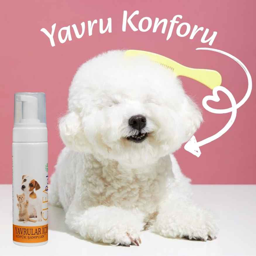 Yavru Kedi &amp; Köpek İçin Nano Antibakteriyel Kuru Köpük Şampuan – 200 ml